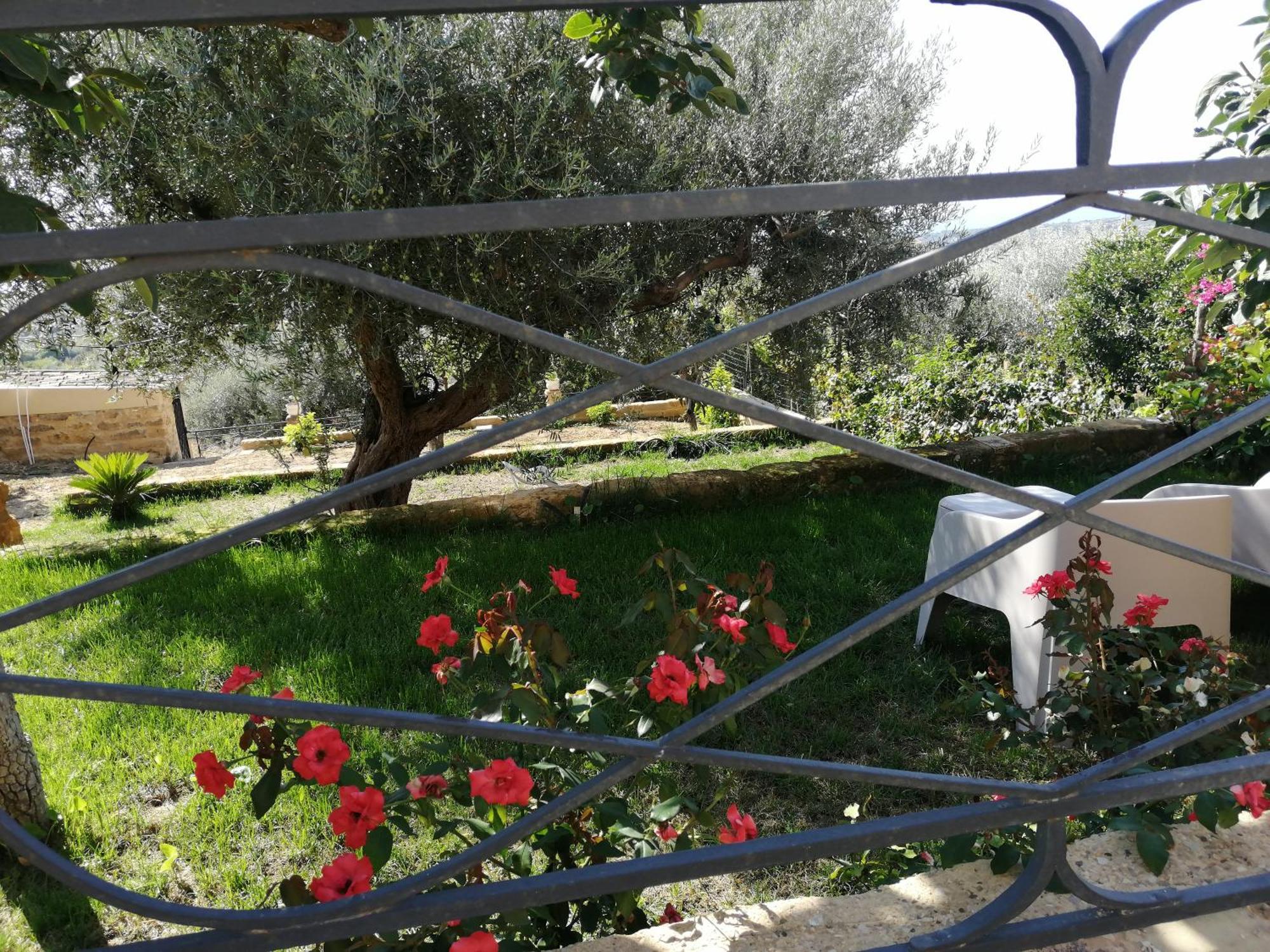 A Casa Di Mammi Nella Valle Dei Templi Агридженто Номер фото